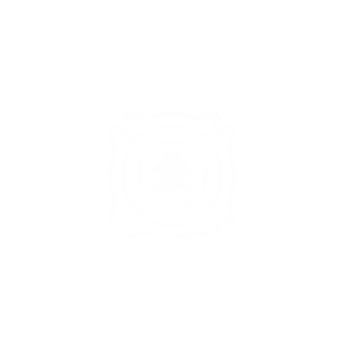 Logo Bomberos Voluntarios Pilar